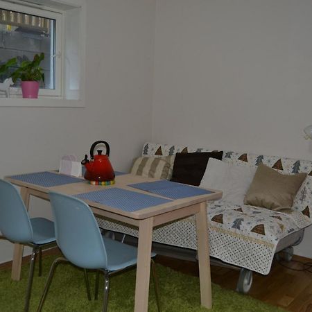 Totally Independent Apartment Near Ntnu,Lerkendal And Center Trondheim Zewnętrze zdjęcie